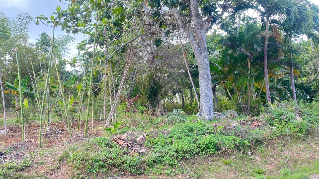 14178-sq-ft-Residential-Lot-for-Sale-in-Clarendon-Jamaica Fourth image of Land Part of Rock Hill in May Pen, Clarendon, Jamaica - property is For Sale