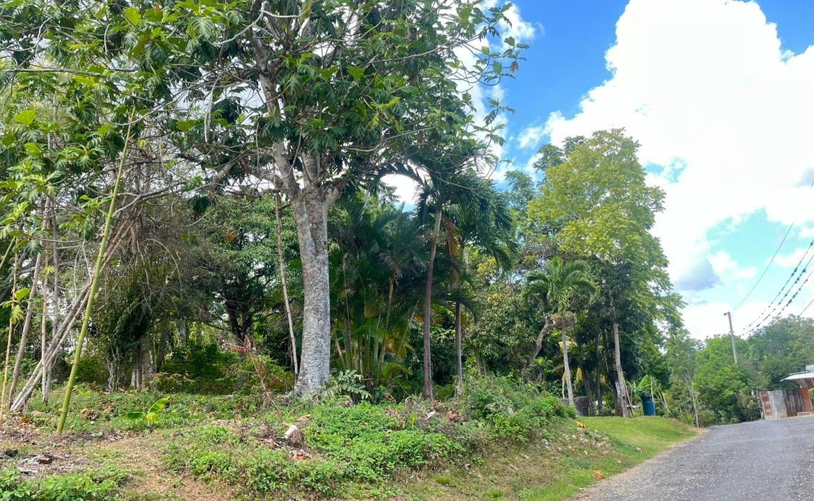 Fifth image of Land Part of Rock Hill in May Pen, Clarendon, Jamaica - property is For Sale