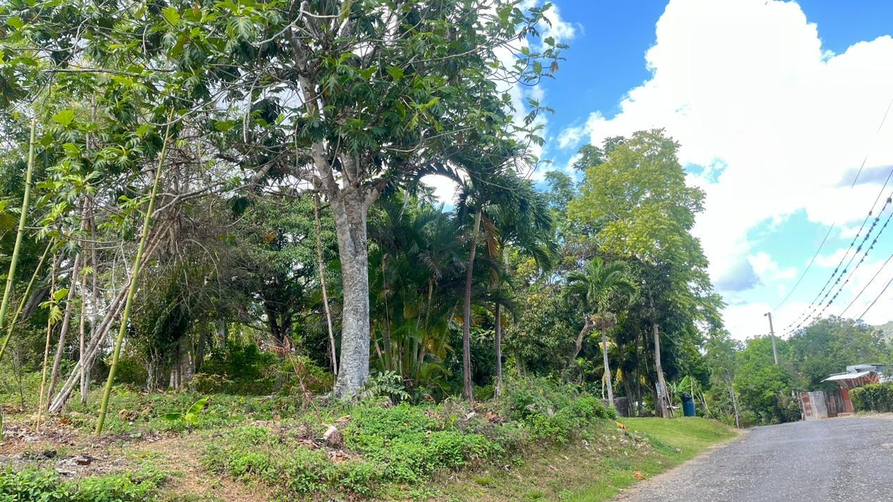 14178-sq-ft-Residential-Lot-for-Sale-in-Clarendon-Jamaica Fifth image of Land Part of Rock Hill in May Pen, Clarendon, Jamaica - property is For Sale