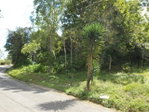First image of Land Part of Rock Hill in May Pen, Clarendon, Jamaica - property is For Sale
