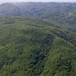 First image of Littlehope Bull Bay in BULL BAY, St. Andrew, Jamaica - property is For Sale