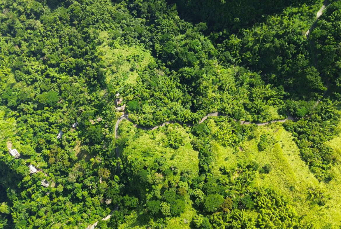 Second image of Norbrook Heights in Norbrook, St. Andrew, Jamaica - property is For Sale
