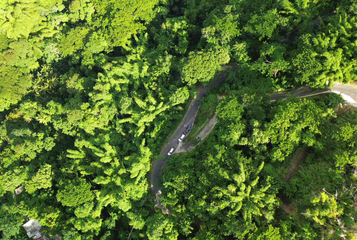 First image of Norbrook Heights in Norbrook, St. Andrew, Jamaica - property is For Sale