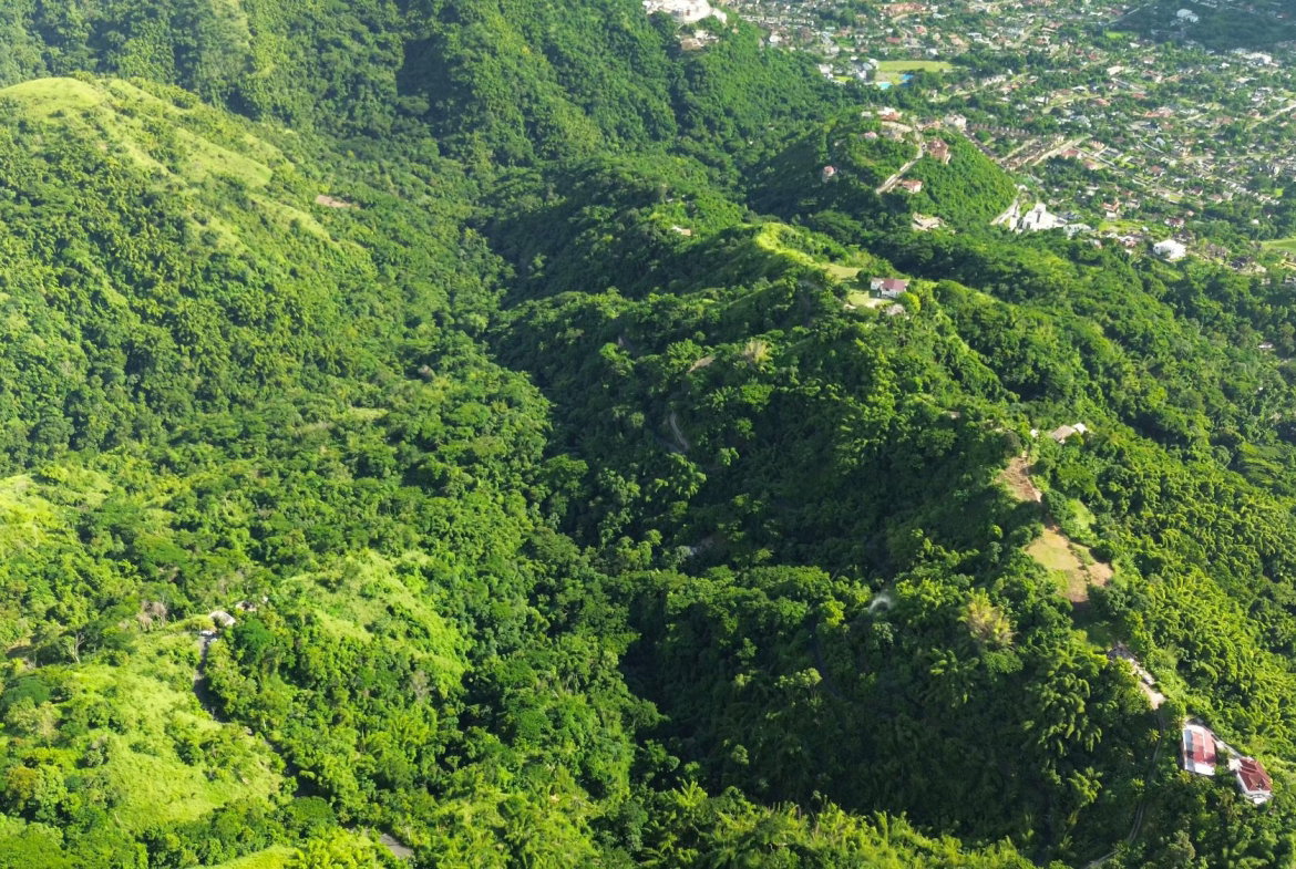 Fifth image of Norbrook Heights in Norbrook, St. Andrew, Jamaica - property is For Sale