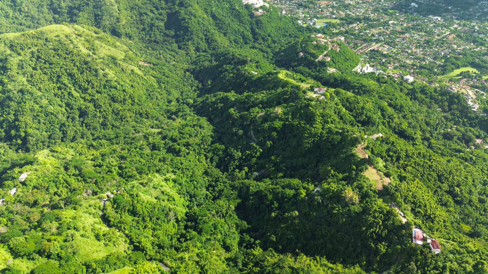 Fifth image of Norbrook Heights in Norbrook, St. Andrew, Jamaica - property is For Sale