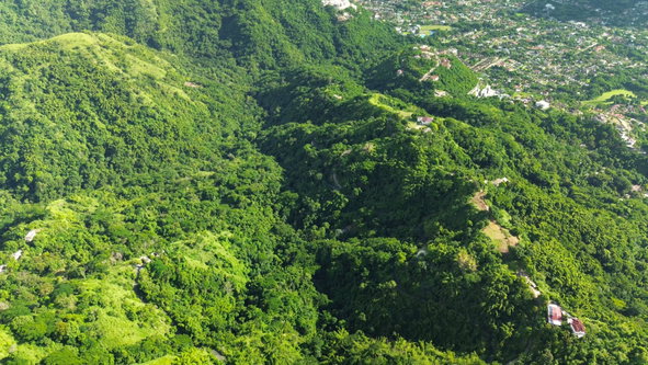 Fifth image of Norbrook Heights in Norbrook, St. Andrew, Jamaica - property is For Sale