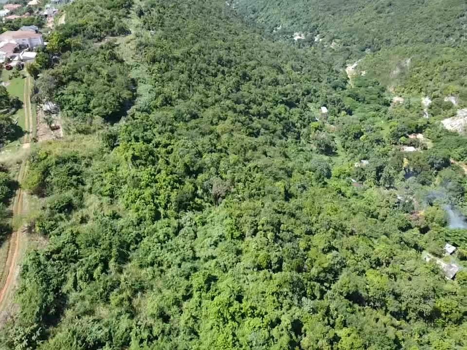 Second image of Happy Grove in Red Hills, St. Andrew, Jamaica - property is For Sale