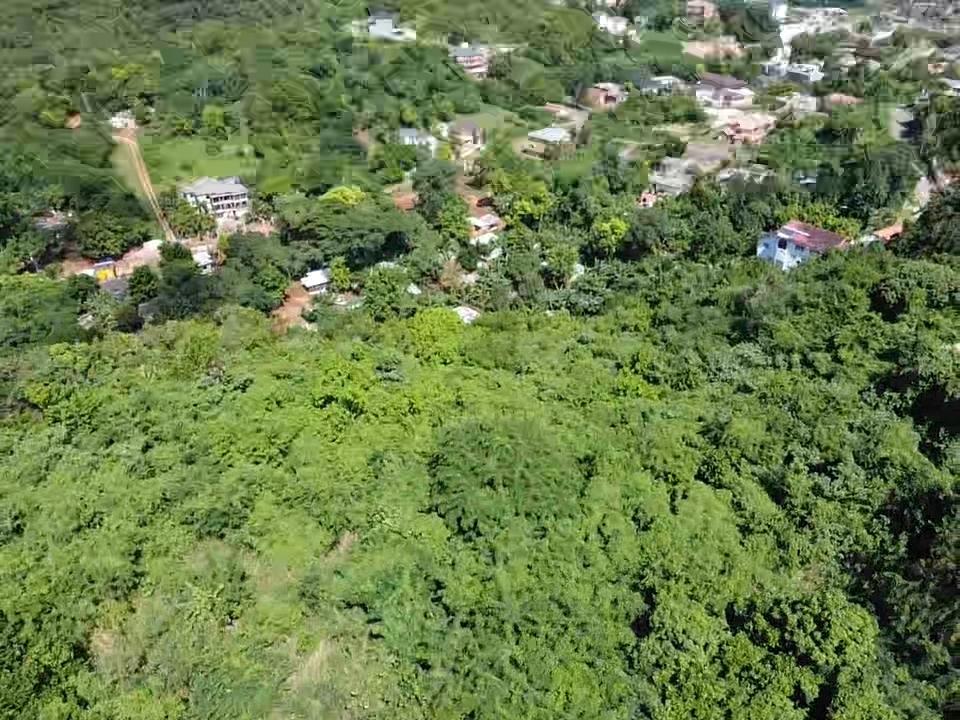 Third image of Happy Grove in Red Hills, St. Andrew, Jamaica - property is For Sale