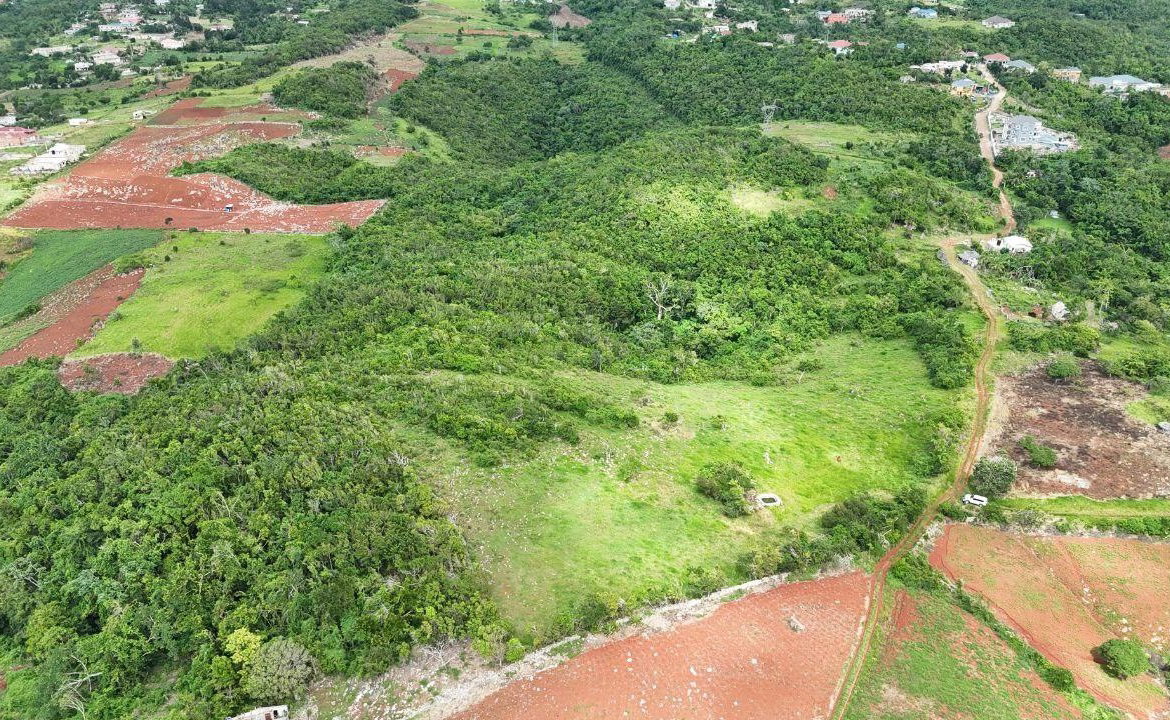 Eleventh image of Spur Tree, California in Spur Tree, Manchester, Jamaica - property is For Sale
