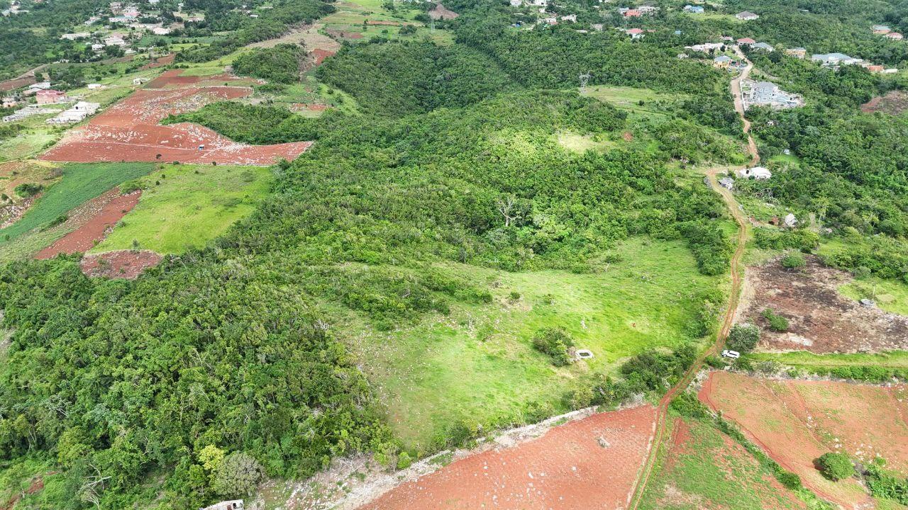 Eleventh image of Spur Tree, California in Spur Tree, Manchester, Jamaica - property is For Sale