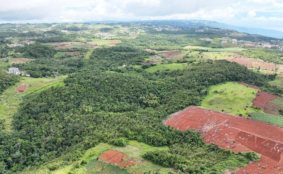 Eighth image of Spur Tree, California in Spur Tree, Manchester, Jamaica - property is For Sale