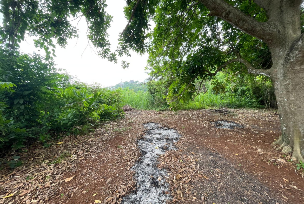 Seventeenth image of Brentwood Terrace in Red Hills, St. Andrew, Jamaica - property is For Sale