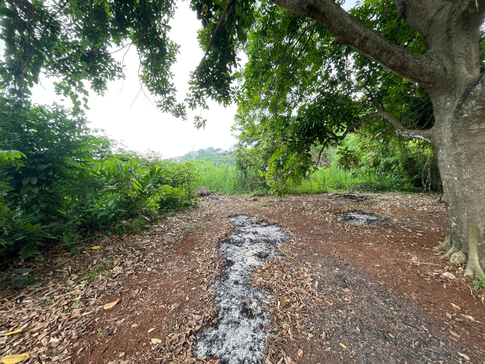 3-Bedroom-Fixer-Upper-in-St.-Andrew-Investment-Opportunity Seventeenth image of Brentwood Terrace in Red Hills, St. Andrew, Jamaica - property is For Sale