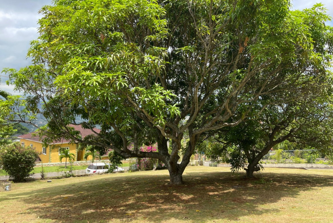Sixth image of Brentwood Terrace in Red Hills, St. Andrew, Jamaica - property is For Sale