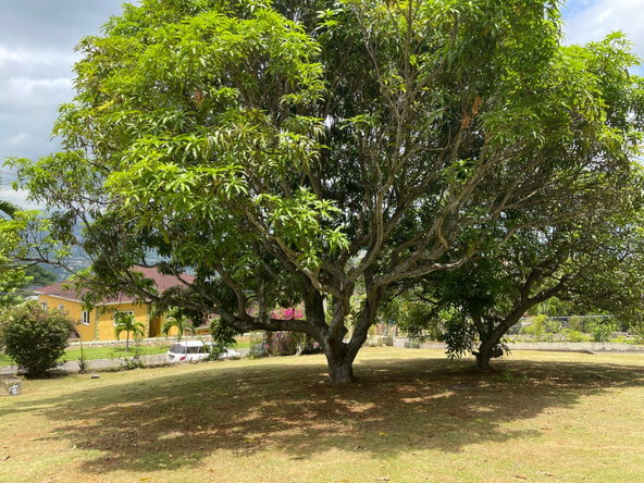 Sixth image of Brentwood Terrace in Red Hills, St. Andrew, Jamaica - property is For Sale