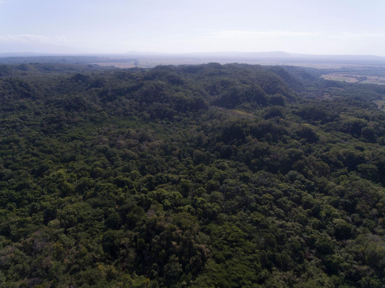 Second image of Spring Garden in Bushy Park, St. Catherine, Jamaica - property is For Sale