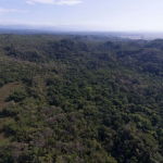 First image of Spring Garden in Bushy Park, St. Catherine, Jamaica - property is For Sale