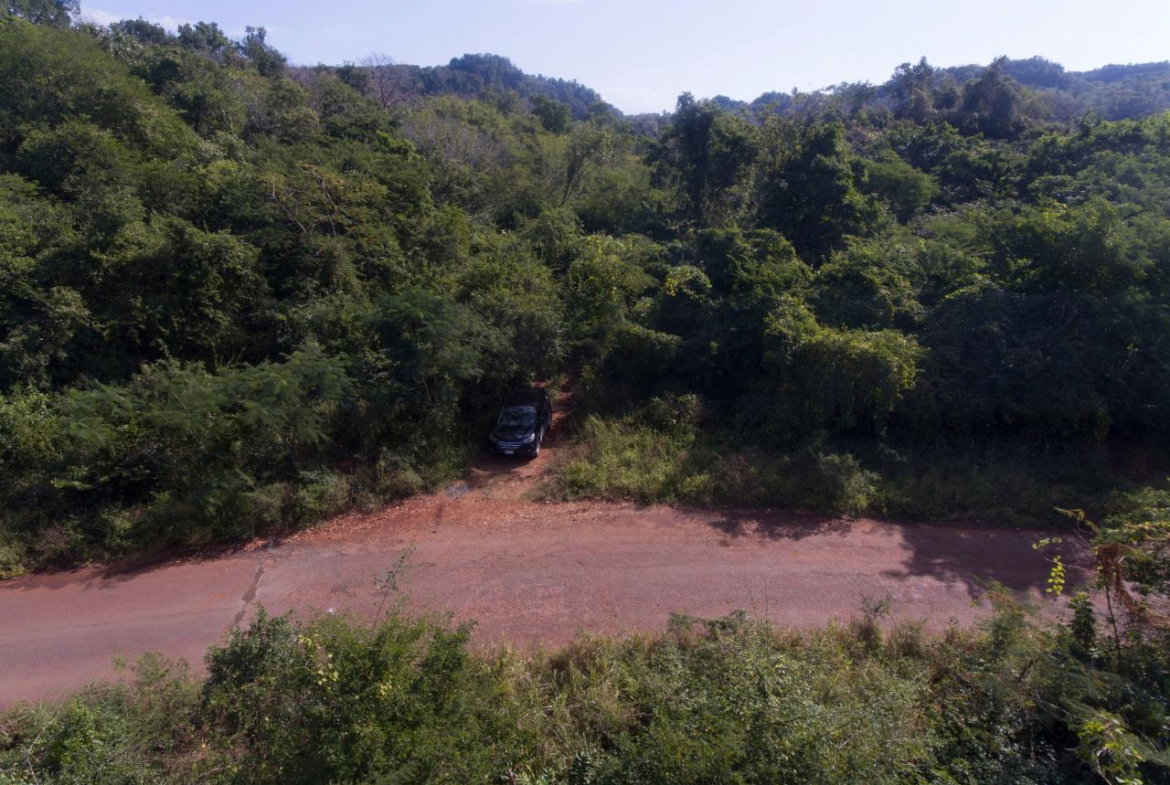 Third image of Spring Garden in Bushy Park, St. Catherine, Jamaica - property is For Sale