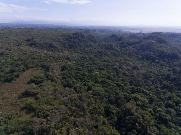 First image of Spring Garden in Bushy Park, St. Catherine, Jamaica - property is For Sale