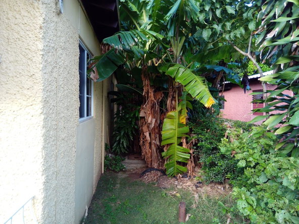 Twelfth image of 22 Haylett Ave Meadowbrook e in Forest Hills, St. Andrew, Jamaica - property is For Sale