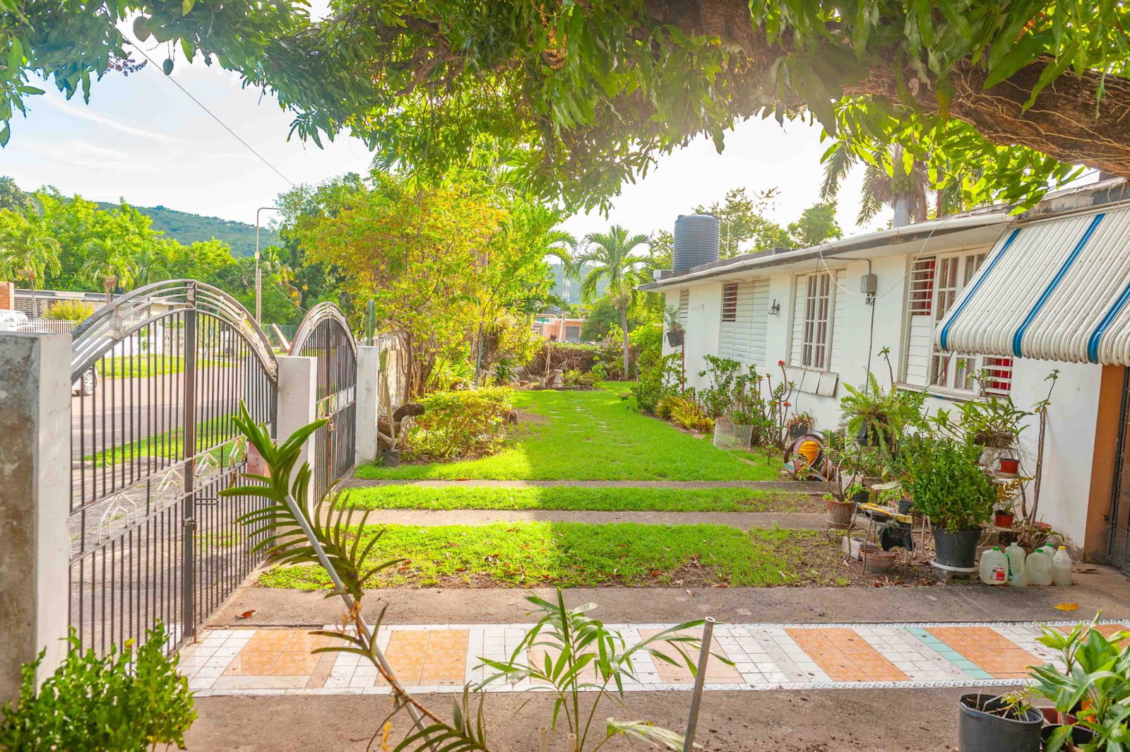 Third image of Begonia Drive , Mona in Kingston 6, St. Andrew, Jamaica - property is For Sale