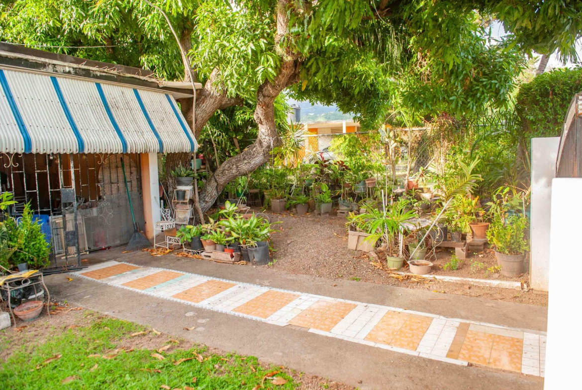 Eighth image of Begonia Drive , Mona in Kingston 6, St. Andrew, Jamaica - property is For Sale