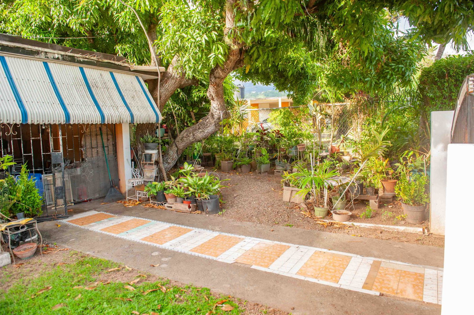 Eighth image of Begonia Drive , Mona in Kingston 6, St. Andrew, Jamaica - property is For Sale