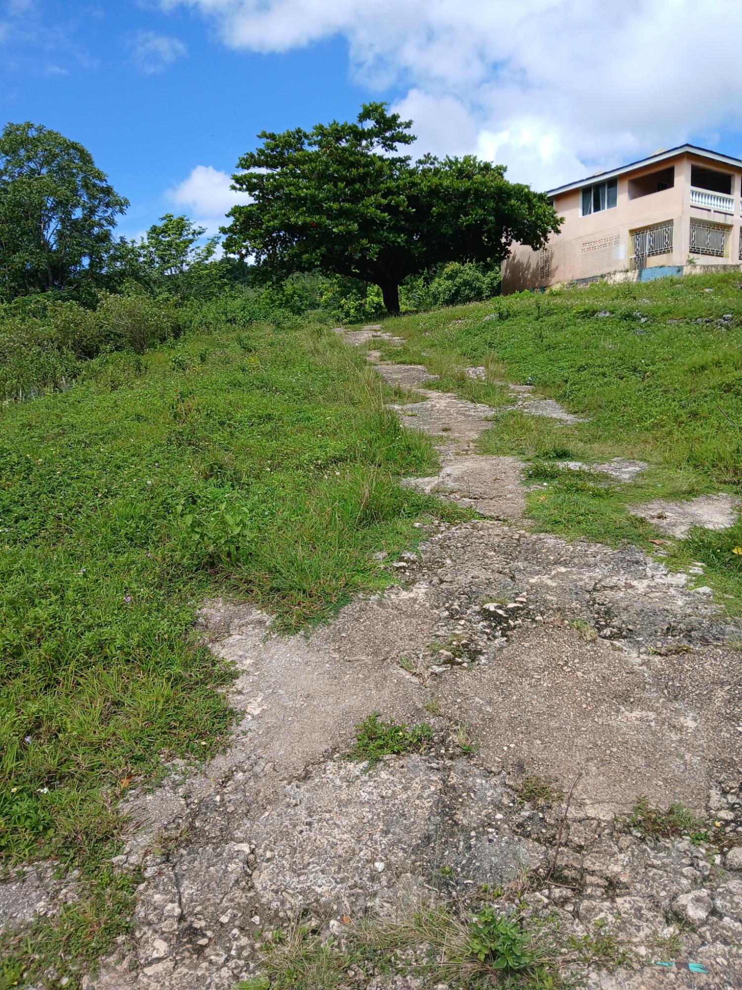 Second image of 19a Maderia Rd. Grove Mount in Grove Mount, Manchester, Jamaica - property is For Sale