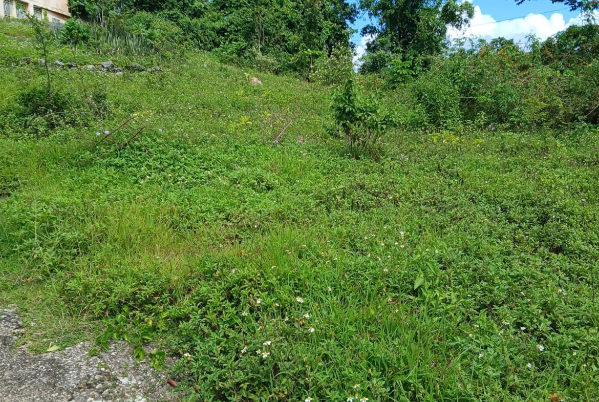 Thirteenth image of 19a Maderia Rd. Grove Mount in Grove Mount, Manchester, Jamaica - property is For Sale