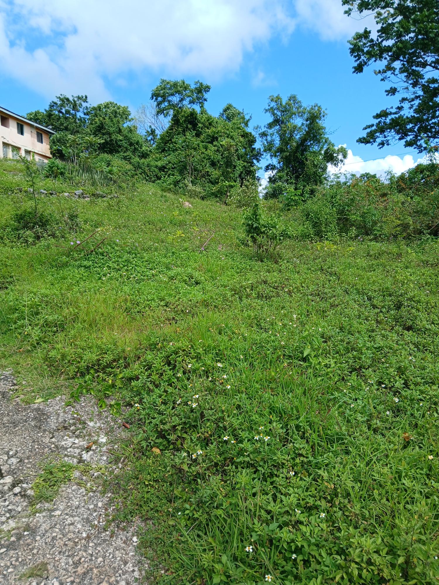 Thirteenth image of 19a Maderia Rd. Grove Mount in Grove Mount, Manchester, Jamaica - property is For Sale
