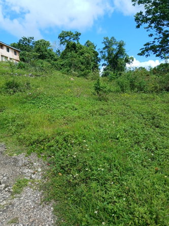 Thirteenth image of 19a Maderia Rd. Grove Mount in Grove Mount, Manchester, Jamaica - property is For Sale