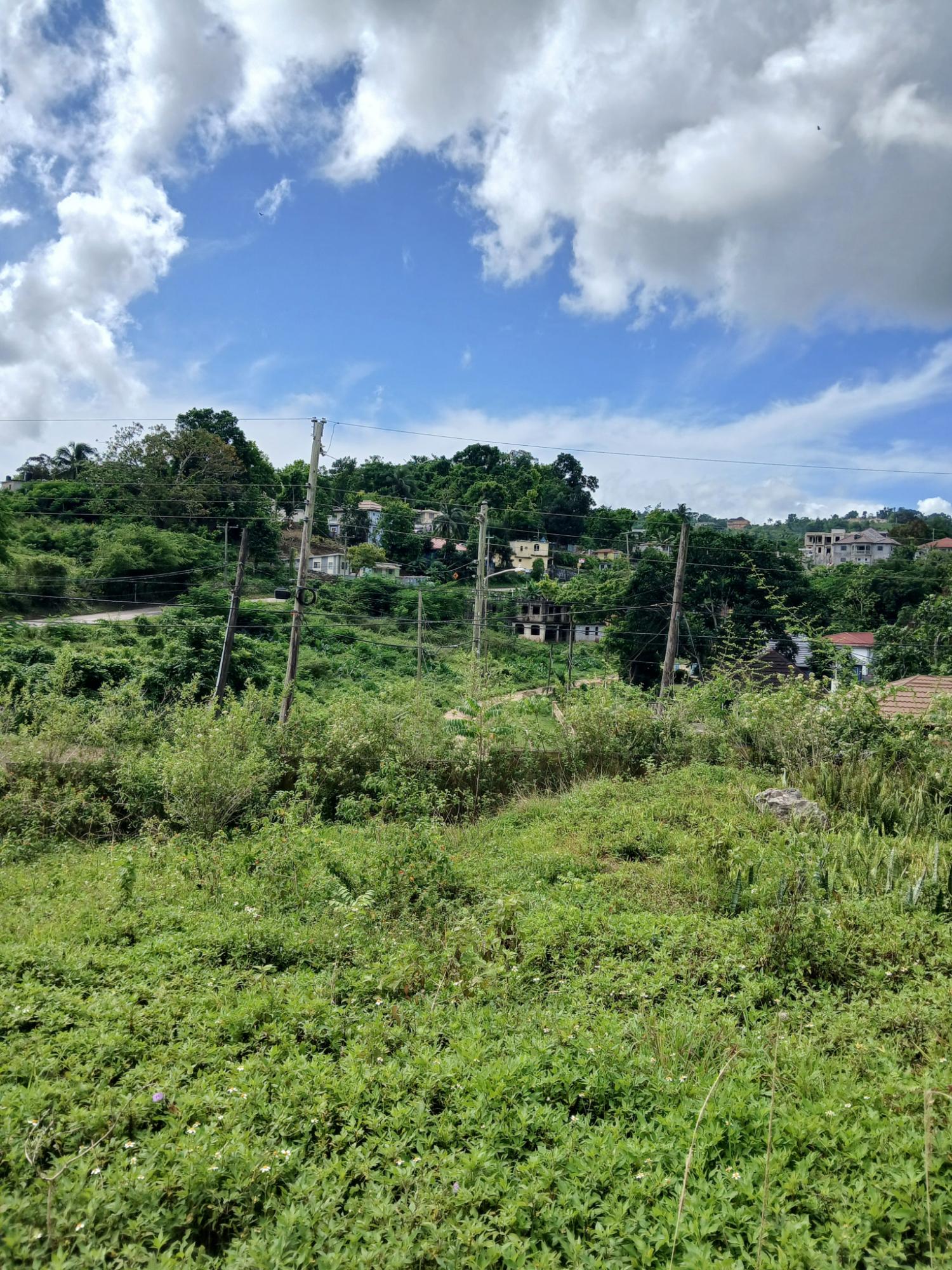Eighteenth image of 19a Maderia Rd. Grove Mount in Grove Mount, Manchester, Jamaica - property is For Sale
