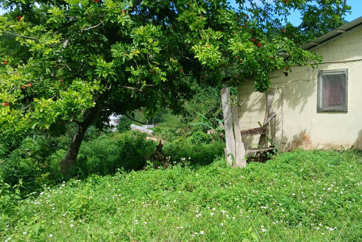 Fourth image of 19a Maderia Rd. Grove Mount in Grove Mount, Manchester, Jamaica - property is For Sale
