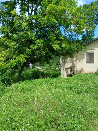 Fourth image of 19a Maderia Rd. Grove Mount in Grove Mount, Manchester, Jamaica - property is For Sale