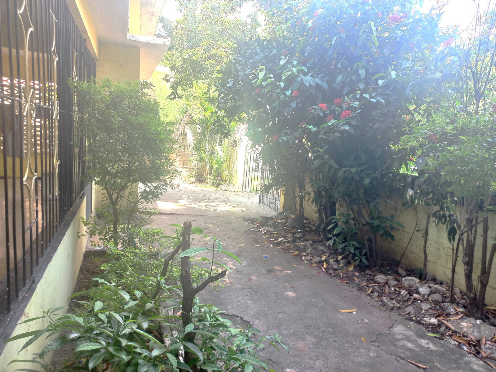 Fifth image of 55 Dewdney Road, Kingston 11 in Tower Hill, St. Andrew, Jamaica - property is For Sale