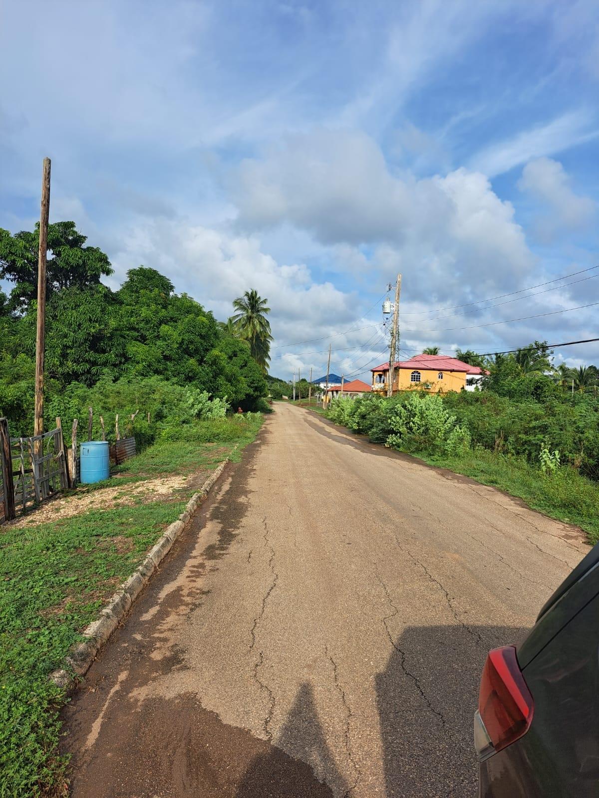 4.56-Acres-Residential-Lot-for-Sale-in-Clarendon-Jamaica Second image of Lot 13 Halse Hall in Halse Hall, Clarendon, Jamaica - property is For Sale