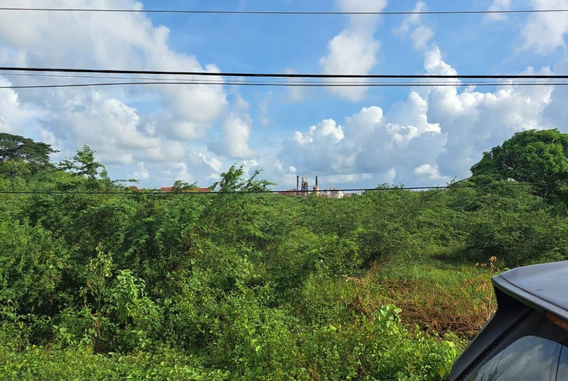 First image of Lot 13 Halse Hall in Halse Hall, Clarendon, Jamaica - property is For Sale