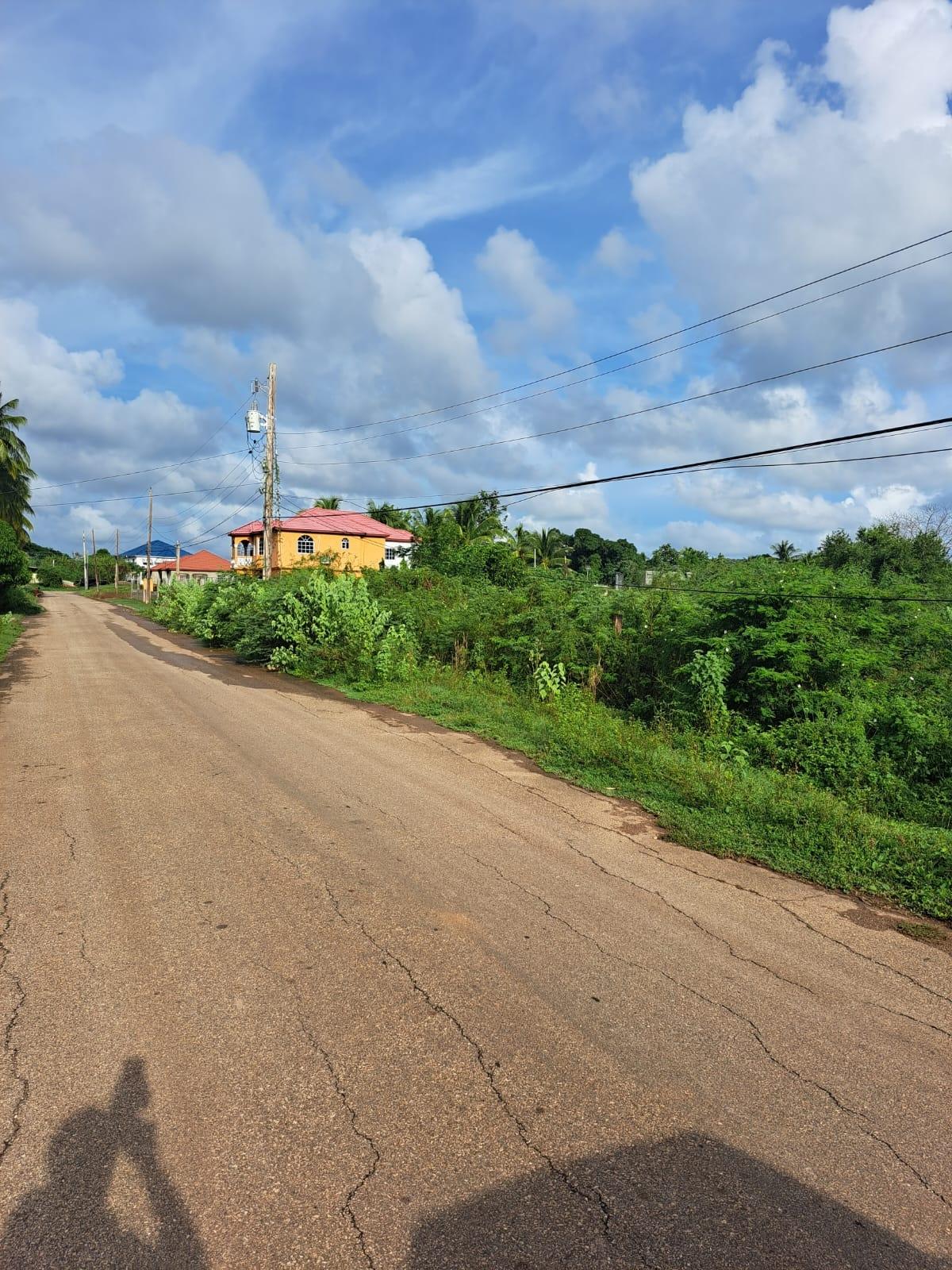 4.56-Acres-Residential-Lot-for-Sale-in-Clarendon-Jamaica Third image of Lot 13 Halse Hall in Halse Hall, Clarendon, Jamaica - property is For Sale