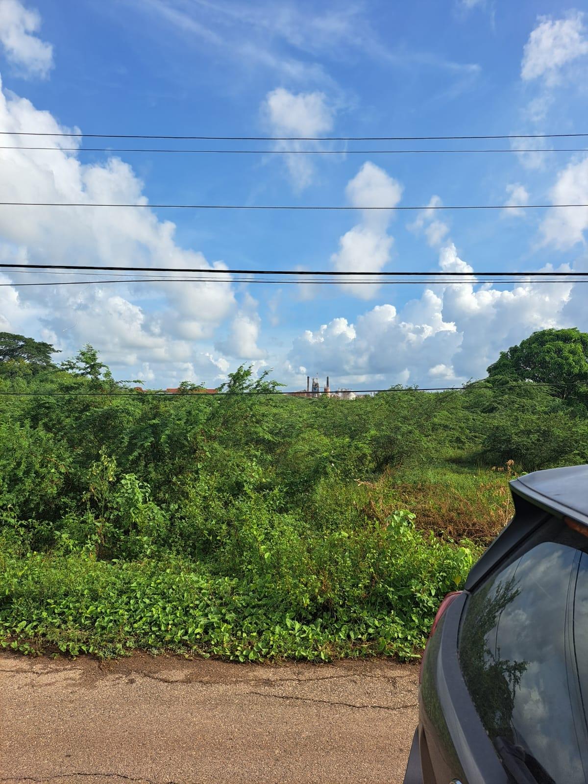 4.56-Acres-Residential-Lot-for-Sale-in-Clarendon-Jamaica First image of Lot 13 Halse Hall in Halse Hall, Clarendon, Jamaica - property is For Sale