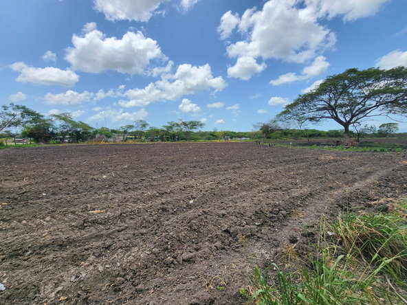 Fourteenth image of Hartlands in Hartlands, St. Catherine, Jamaica - property is For Sale