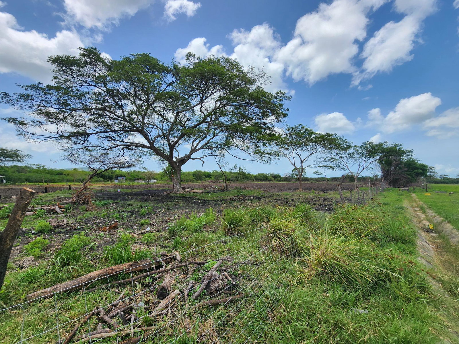 Fifteenth image of Hartlands in Hartlands, St. Catherine, Jamaica - property is For Sale