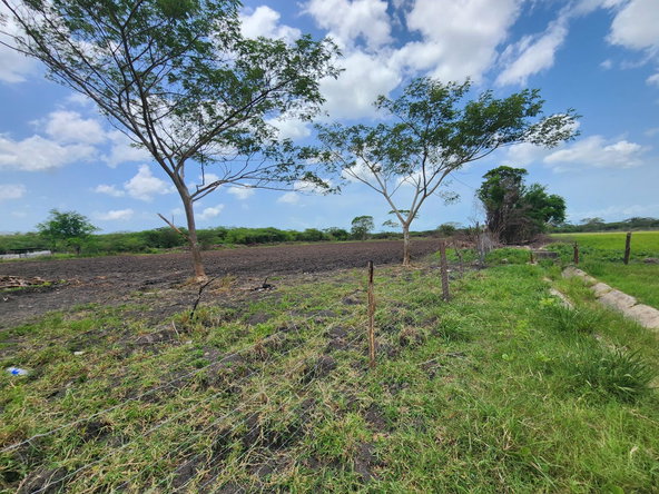Eighteenth image of Hartlands in Hartlands, St. Catherine, Jamaica - property is For Sale
