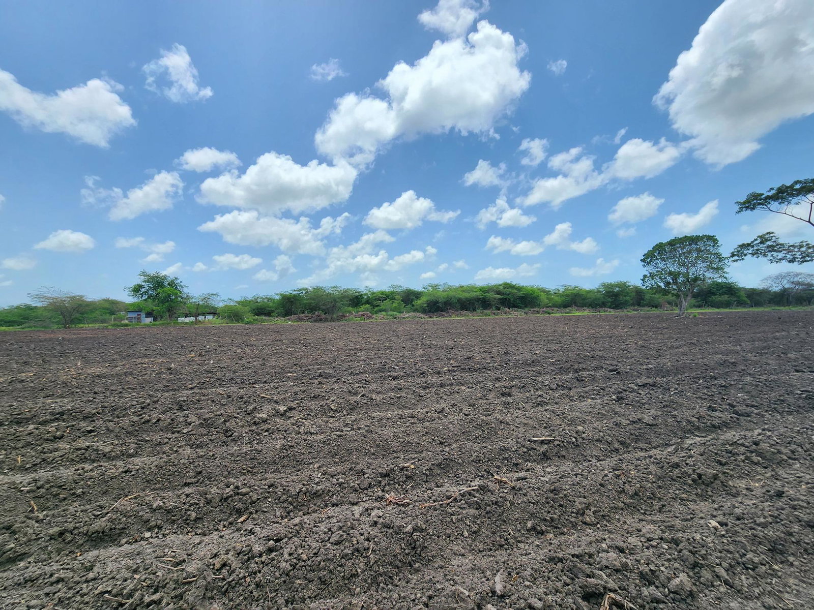 Nineteenth image of Hartlands in Hartlands, St. Catherine, Jamaica - property is For Sale
