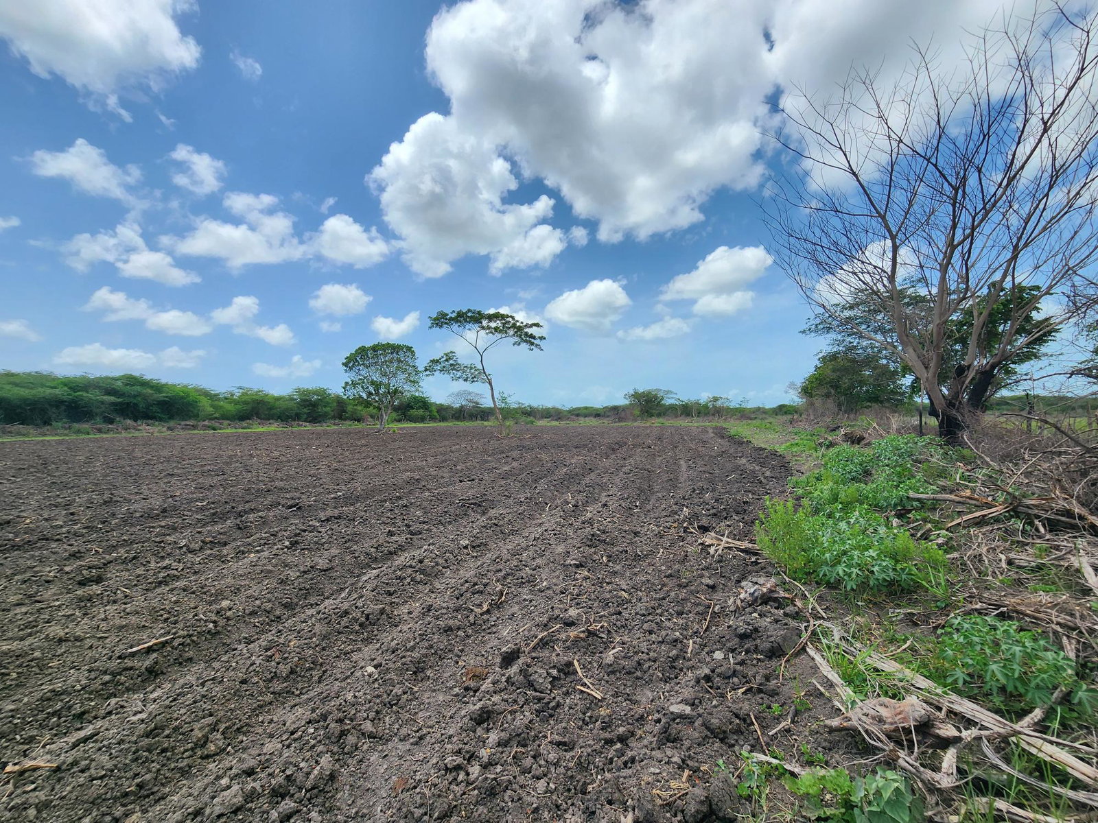 Twentieth image of Hartlands in Hartlands, St. Catherine, Jamaica - property is For Sale