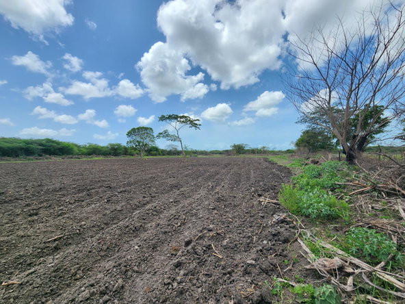 Twentieth image of Hartlands in Hartlands, St. Catherine, Jamaica - property is For Sale