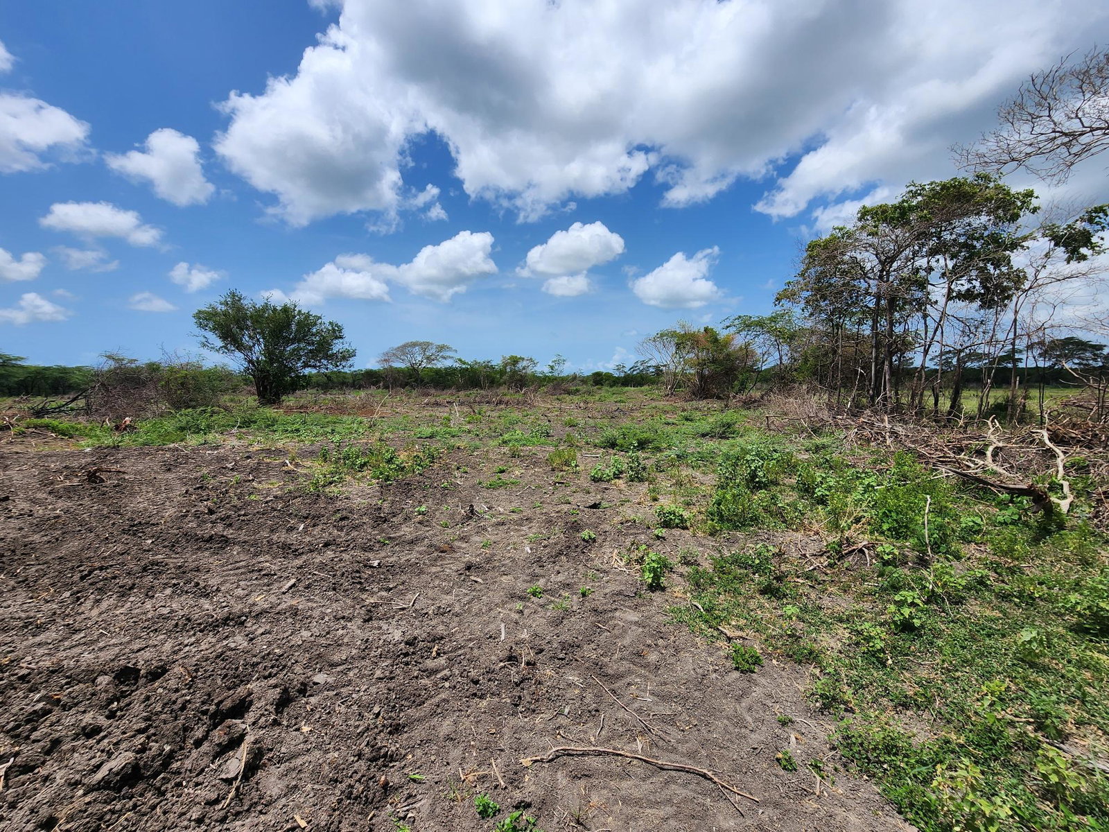 Twenty-First image of Hartlands in Hartlands, St. Catherine, Jamaica - property is For Sale