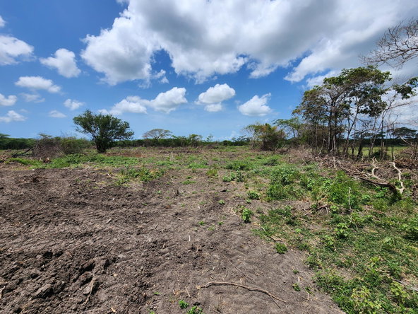 Twenty-First image of Hartlands in Hartlands, St. Catherine, Jamaica - property is For Sale