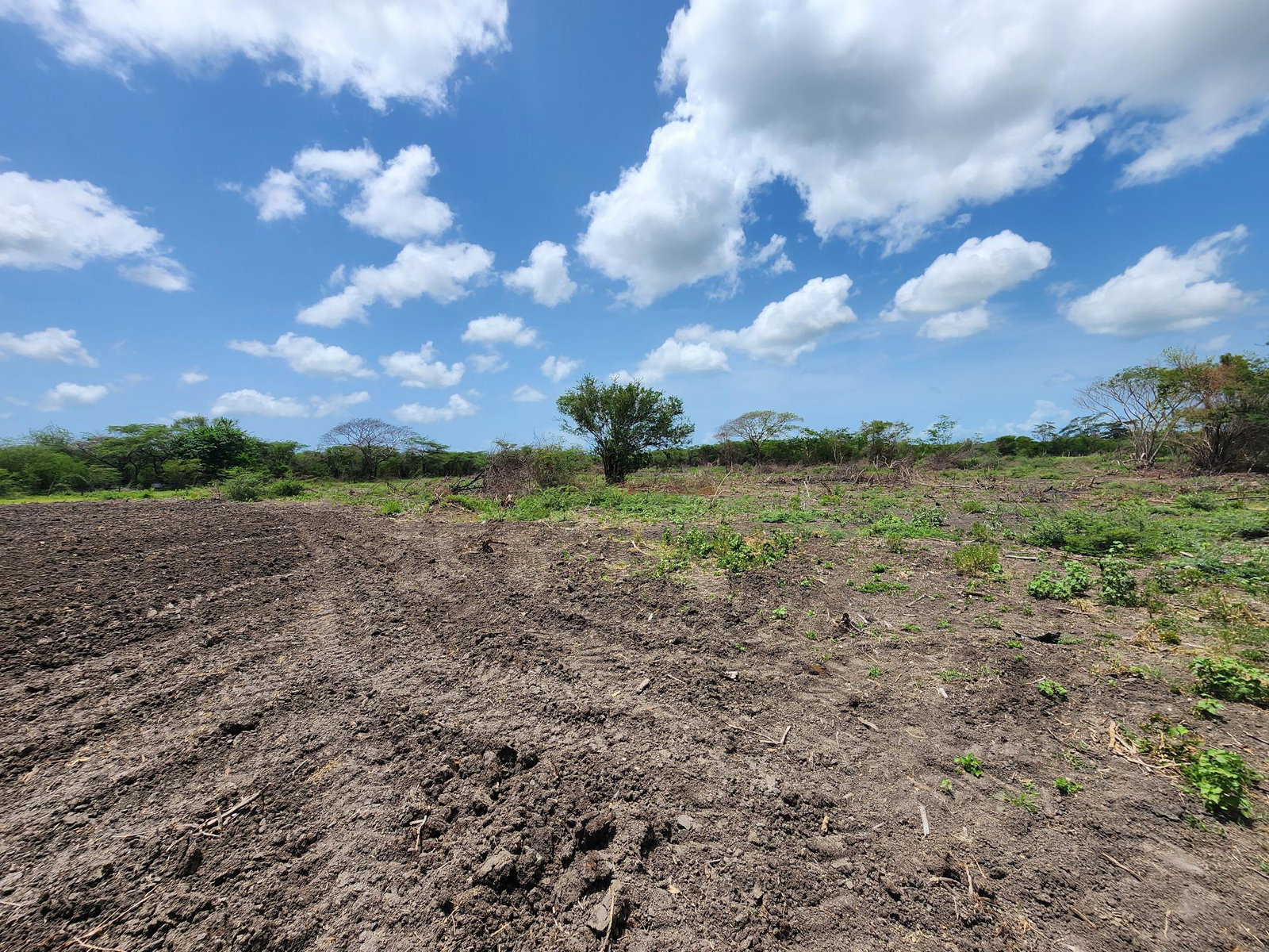 Twenty-Second image of Hartlands in Hartlands, St. Catherine, Jamaica - property is For Sale