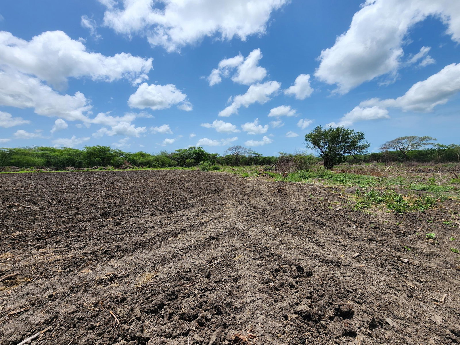 Twenty-Third image of Hartlands in Hartlands, St. Catherine, Jamaica - property is For Sale