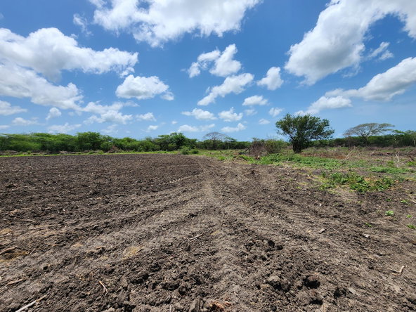 Twenty-Third image of Hartlands in Hartlands, St. Catherine, Jamaica - property is For Sale